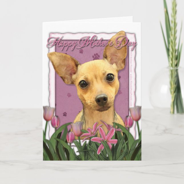 Cartão Mothers Day - Pink Tulips - Chihuahua (Frente)