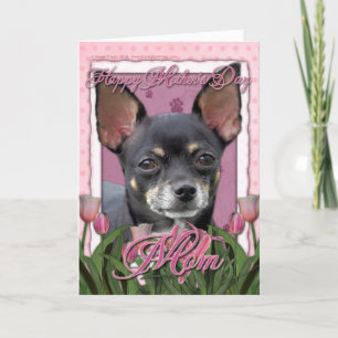 Cartão Mothers Day - Pink Tulips - Chihuahua - Isabella