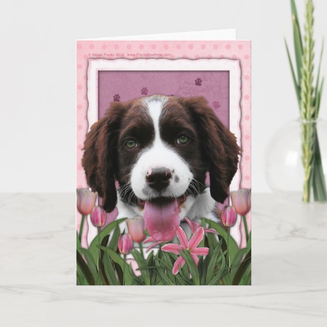 Cartão Mothers Day - Pink Tulips English Springer Spaniel (Frente)