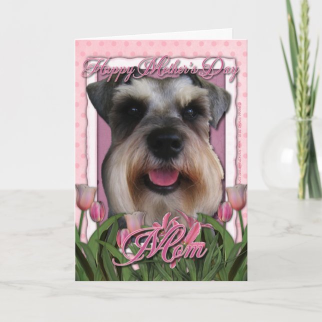 Cartão Mothers Day - Pink Tulips - Schnauzer (Frente)