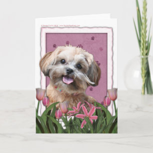 Cartão Mothers Day - Pink Tulips - ShihPoo - Maggie