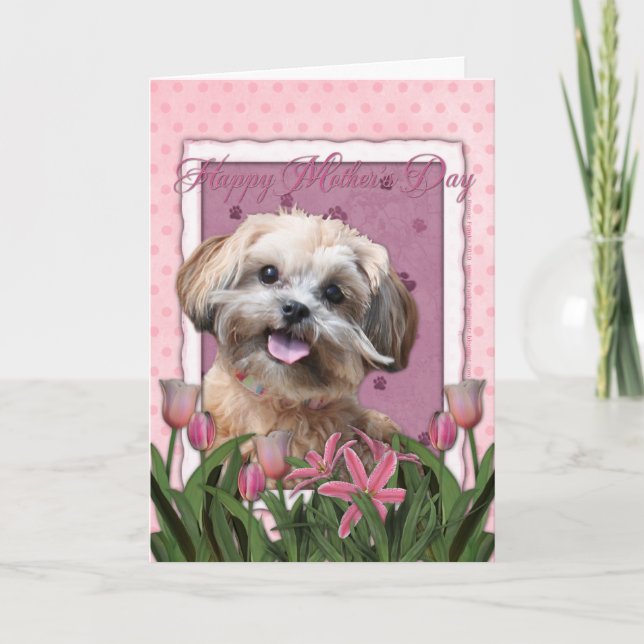 Cartão Mothers Day - Pink Tulips - ShihPoo - Maggie (Frente)