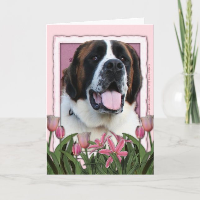 Cartão Mothers Day - Pink Tulips - St Bernard - Mae (Frente)
