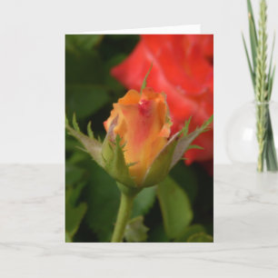 Cartão Mother's Day Rose Card