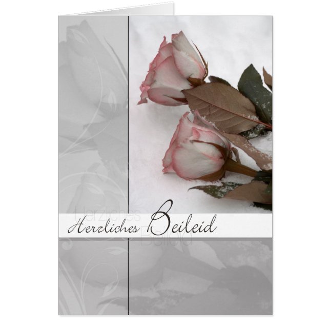 Cartão Motivo de luto: Rosas na neve (Frente)