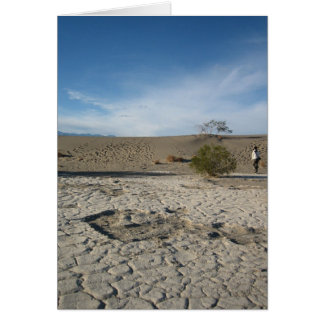 Cartão Motivos Secos