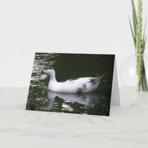 Cartão Mottled Duck Greeting Card