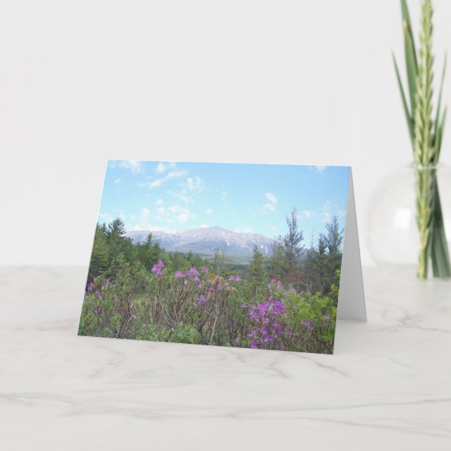 Cartão Mount Katahdin and wildflowers (Frente)