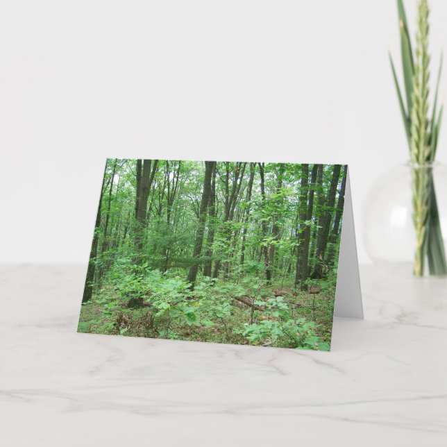 Cartão Mount Nittany Note Cards (Frente)