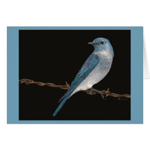 Cartão Mountain Bluebird Card