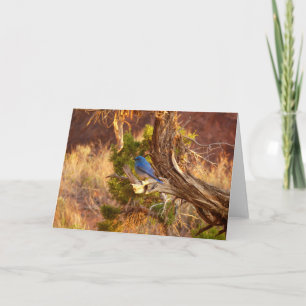 Cartão Mountain Bluebird no Parque Nacional de Arches