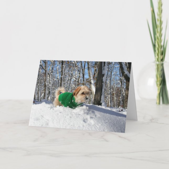 Cartão Mountain Climber Encouragement Card (Frente)