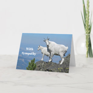 Cartão Mountain Goats White Wildlife Photo Sympathy
