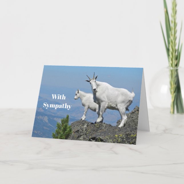 Cartão Mountain Goats White Wildlife Photo Sympathy (Frente)
