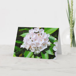 Cartão Mountain Laurel Greeting Card