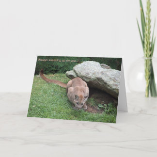 Cartão mountain lion birthday card