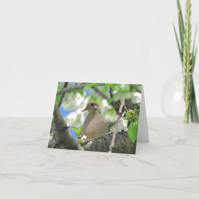 Cartão Mourning Dove Greeting or Note Card  #81 (Frente)