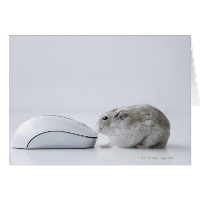 Cartão Mouse de Hamster e Computador (Frente Horizontal)