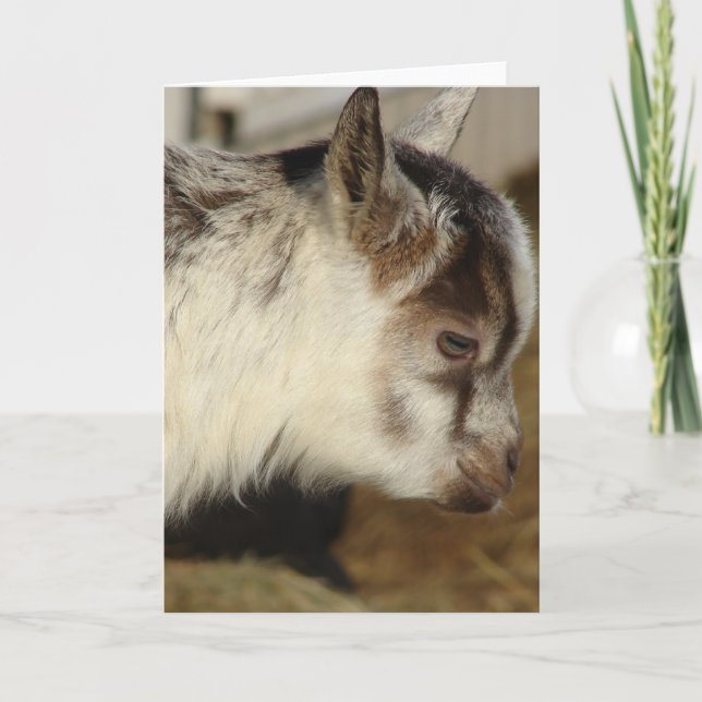 Cartão Mouse the Goat (Frente)