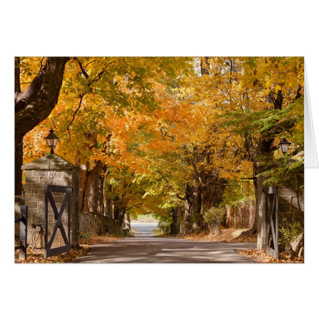 Cartão Movimentação do recurso de Allenberry (Frente Horizontal)