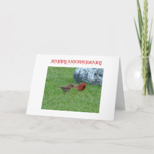 Cartão Mr. & Mrs. Cardinal, HAPPY ANNIVERSARY