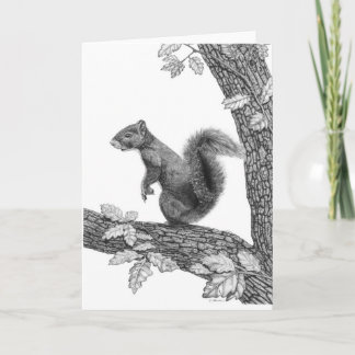 Cartão Mr Squirrel - Blank Note Card