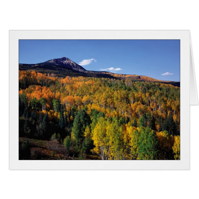 Cartão "Mt. Baldy - Aspen Tree Flow" (Frente horizontal)