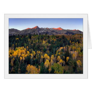 Cartão "Mt. Sneffel - Dallas Divide Road"