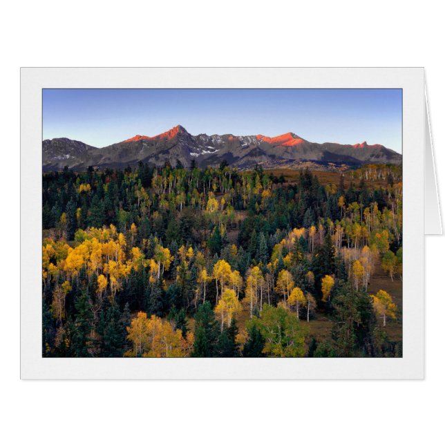 Cartão "Mt. Sneffel - Dallas Divide Road" (Frente horizontal)