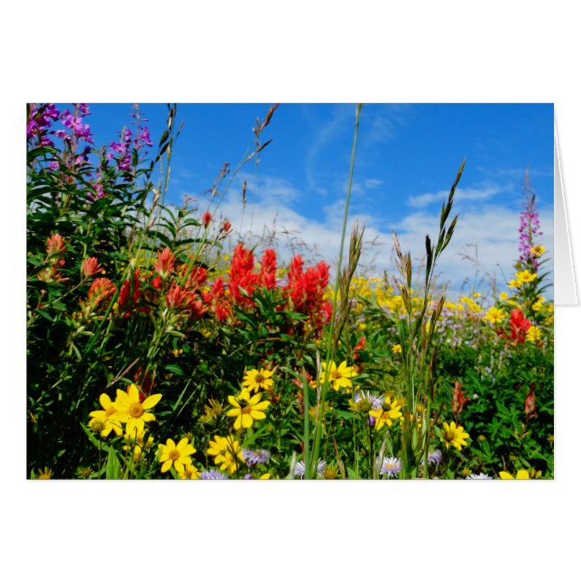 Cartão Mt. Wildflower (Frente Horizontal)