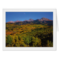 "Mt. Wilson - Vale de Árvore Aspen"