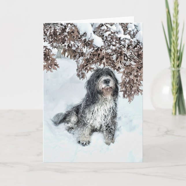 Cartão Mudança de estações (Frente)