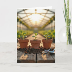 Cartão Mudas de Plantas de Estufa de Aniversário