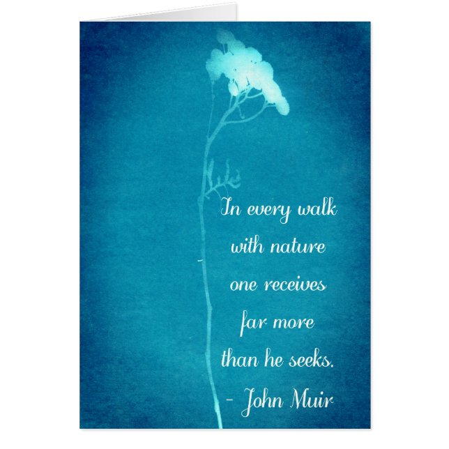Cartão Muir Nature Walk Cote (Frente)