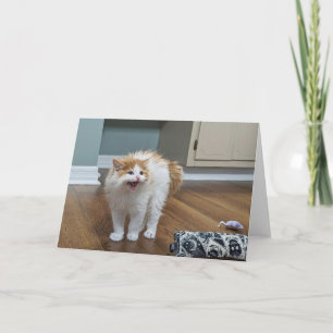 Cartão "Muito assustador" - Dewey está todo inundado