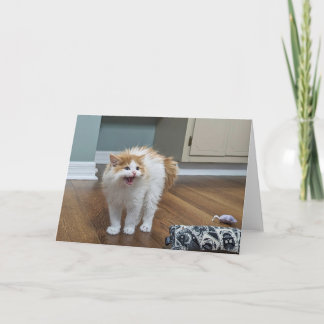 Cartão "Muito assustador" - Dewey está todo inundado