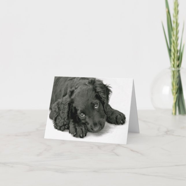 Cartão Muito Bonito (Frente)