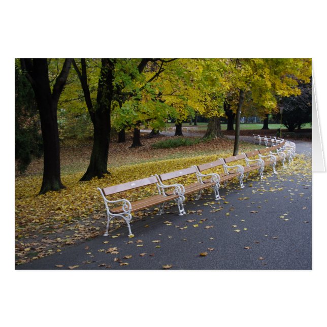 Cartão Muitos Bancos (Frente Horizontal)