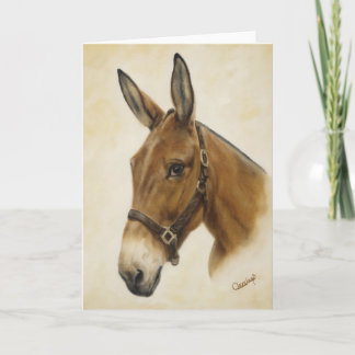 Cartão Mule Card