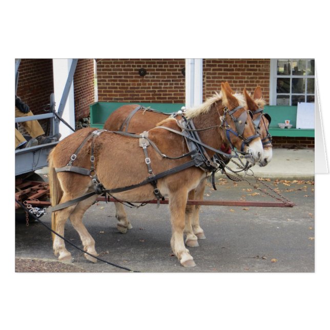 Cartão Mule Cart (Frente Horizontal)