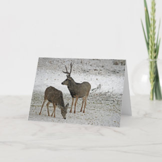 Cartão Mule deer buck and dot