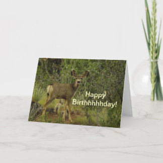 Cartão Mule Deer Raspberry Birthday