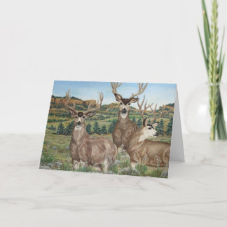 Cartão Mule Deer Wildlife Art