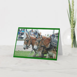 Cartão Mule dias em