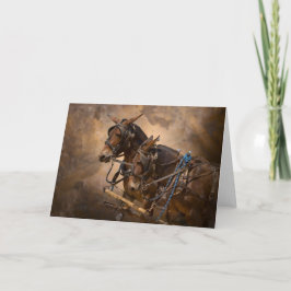 Cartão Mules in Harness