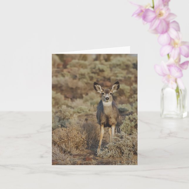 Cartão Muley in the Sage - 4" x 5.6" Notecard (Orquídea)