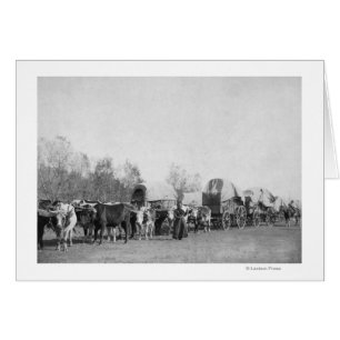 Cartão Mulher com Comboio Ox segura fotografia chicote