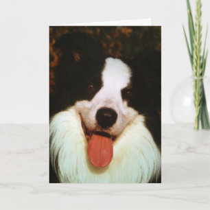 CARTÃO MULHER FELIZ ANIVERSÁRIO HONEY