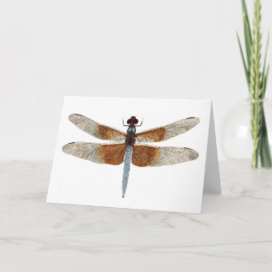 Cartão Mulher Viúva Skimmer Dragonfly