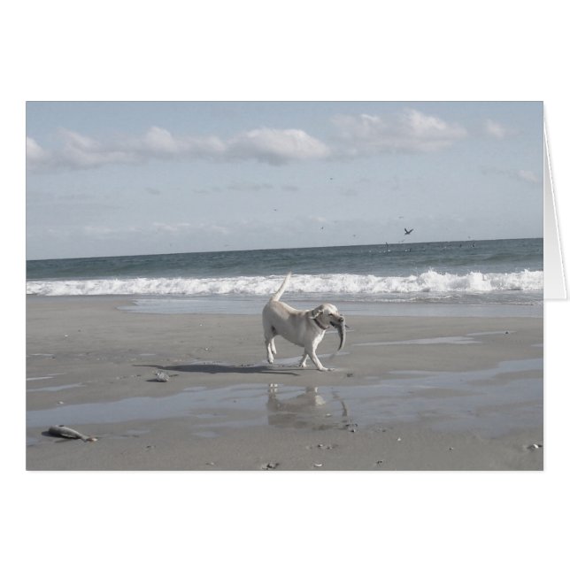 Cartão Mullet Pup III (Frente horizontal)